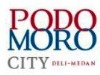 Lowongan Kerja D3 S1 Di PT. Sinar Menara Deli Podomoro City Deli Logo