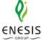 Lowongan Kerja Tamatan S1 Di Enesis Group Medan Juni 2022 Logo