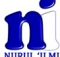 Loker S1 Di Sekolah Dasar Islam Terpadu Nurul Ilmi Medan Estate April 2026 Logo