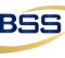 Loker SMA SMK Di BSS Recruitment Consultant Medan Juni 2026 Logo