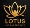 Loker SMA SMK Di Lotus Sky Bar & Cafe Medan Agustus 2026 Logo