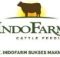 Loker S1 Di PT Indofarm Sukses Makmur Deli Serdang Oktober 2026 Logo